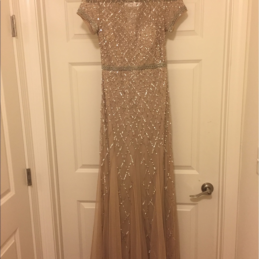 COPY - Adrianna Pappell Beaded Mesh Gown - Size 2